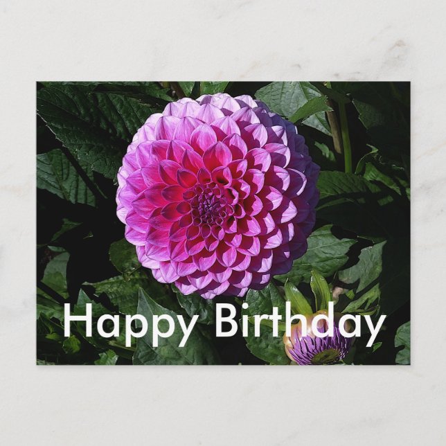 Postale Joyeux Anniversaire Dahlia Pink Paradise #1 Carte  (Devant)