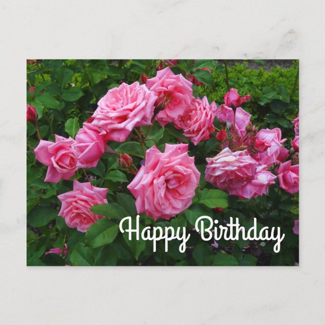 Postale Joyeux Anniversaire Gene Boerner Rose #2 Carte Pos (Devant)