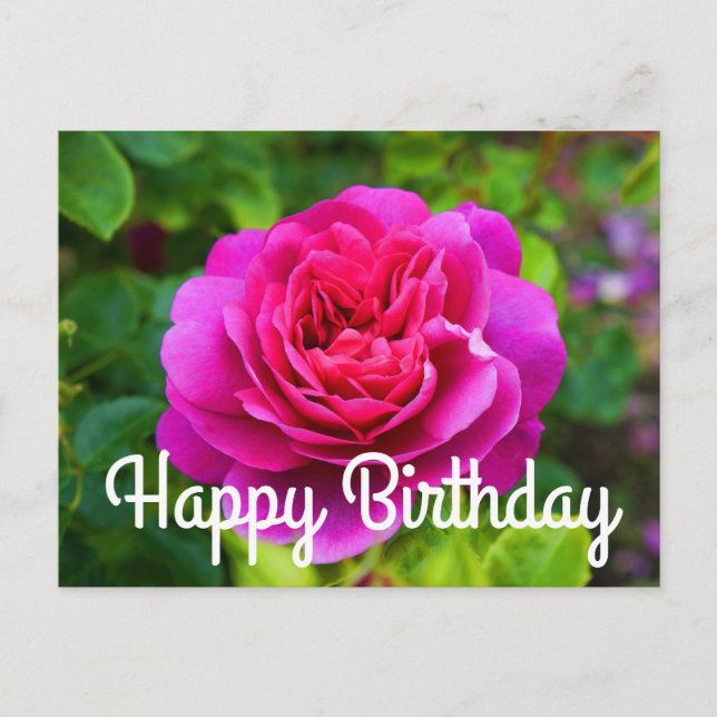 Postale Joyeux Anniversaire Princesse Anne Rose #1 Carte P (Devant)
