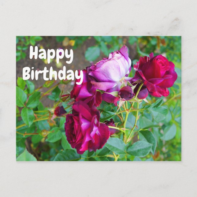 Postale Joyeux Anniversaire Rose Wild Blue Yonder #1 Carte (Devant)