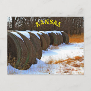 Postale Kansas Hay Bales avec neige dans le champ Carte po