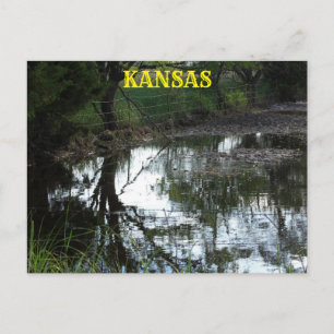 Postale Kansas inondent l'eau dans un pâturage Carte posta