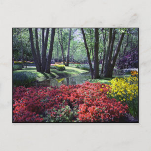 Postale Keukenhof Gardens Pays-Bas, Modèle de carte postal