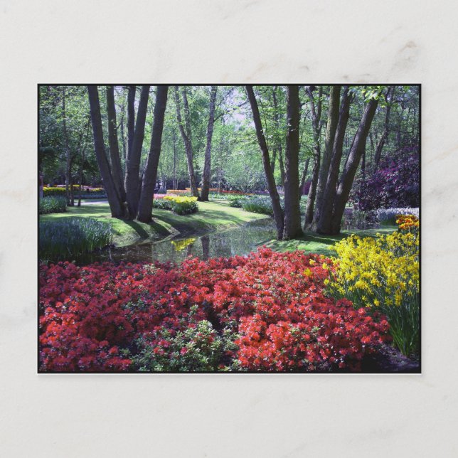 Postale Keukenhof Gardens Pays-Bas, Modèle de carte postal (Devant)