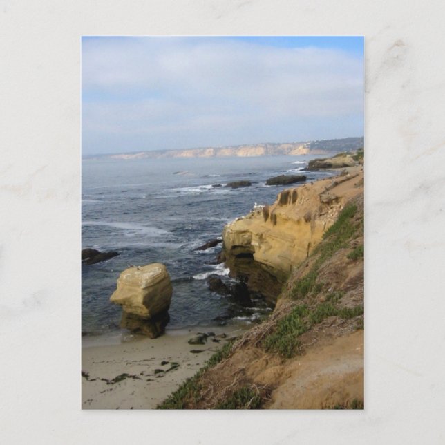 Postale La Jolla Beach Seabirds Custom California Carte po (Devant)