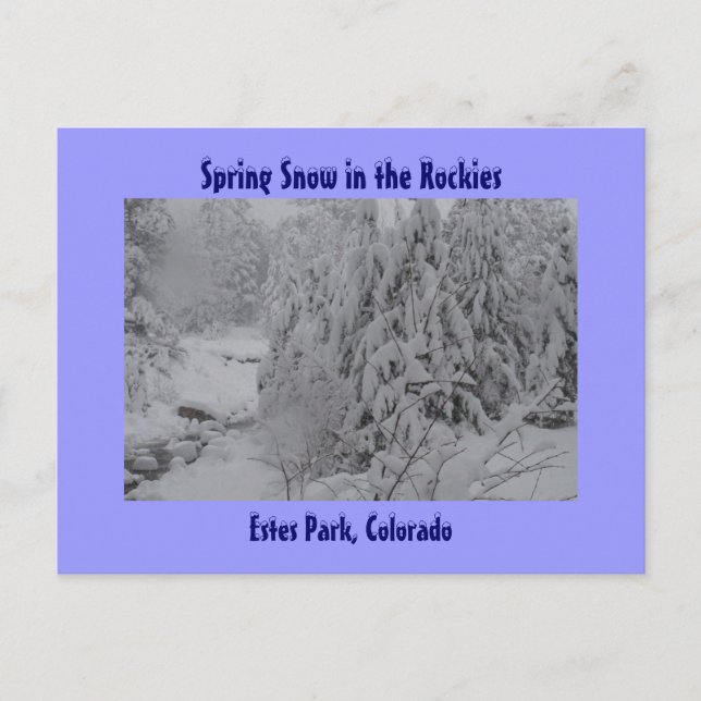 Postale La neige printanière dans les Rocheuses Carte post (Devant)