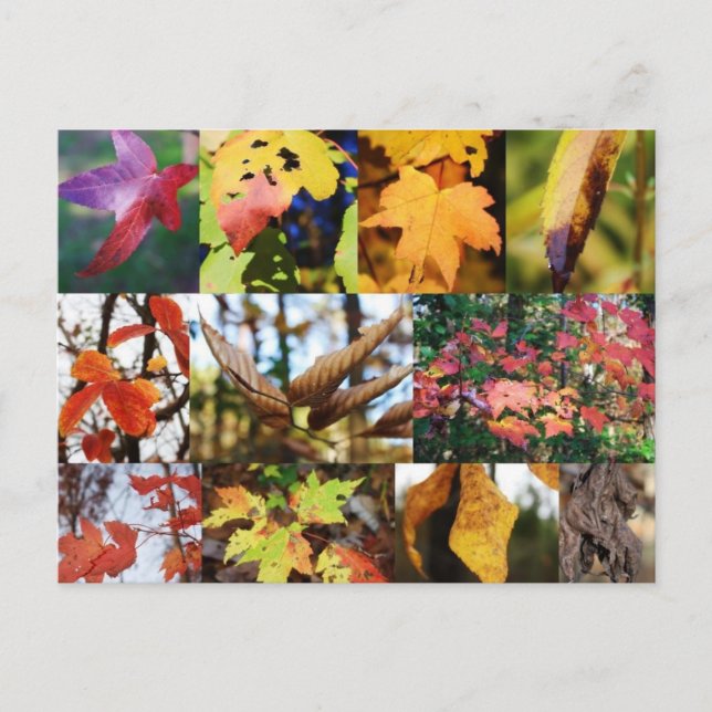 Postale Légendes de la carte poétique d'automne (Devant)