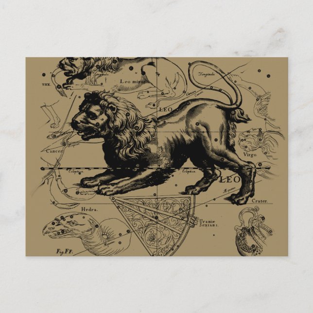 Postale Leo Constellation Carte Hevelius vers 1690 (Devant)