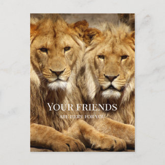 Postale Les Lions De L'Amitié Se Bien Bientôt Carte Postal