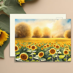 Postale Lever du soleil sur un champ de Sunflower Carte po