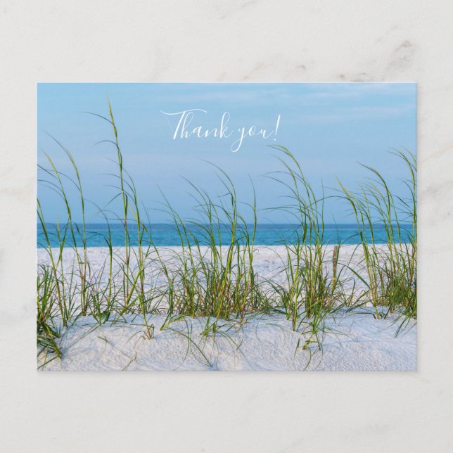 Postale Ligne d'avoine de mer dans le sable blanc Carte de (Devant)