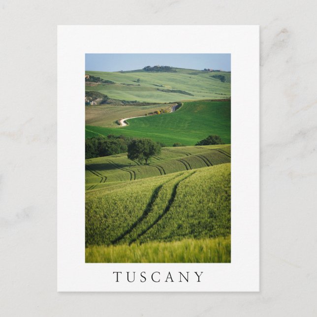 Postale Lignes courbes en vert Toscane élégante carte post (Devant)