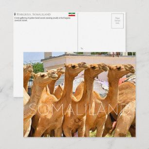 Postale Marché aux chameaux, Hargeisa, Somaliland Carte po