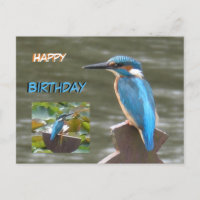 Martin-pêcheurs mignons Carte d'anniversaire
