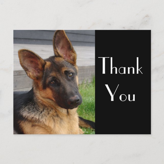 Postale Merci Allemand Berger Chien Chien Chien Pot Carte (Devant)