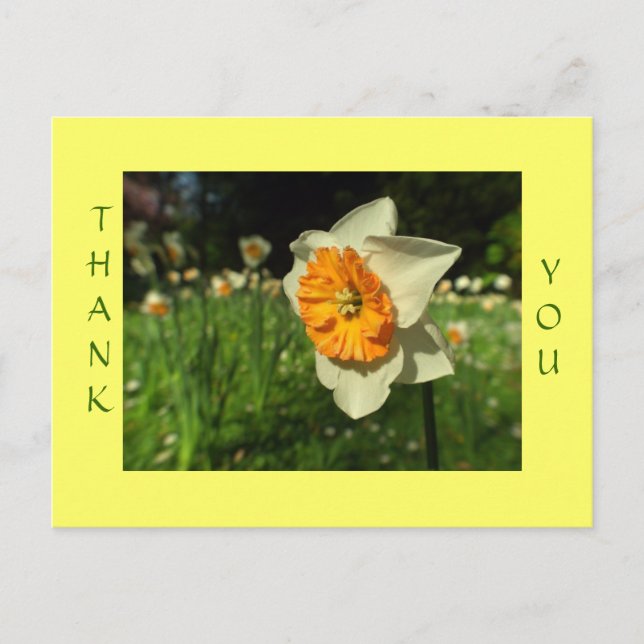 Postale Merci - carte à fleurs ensoleillées (Devant)