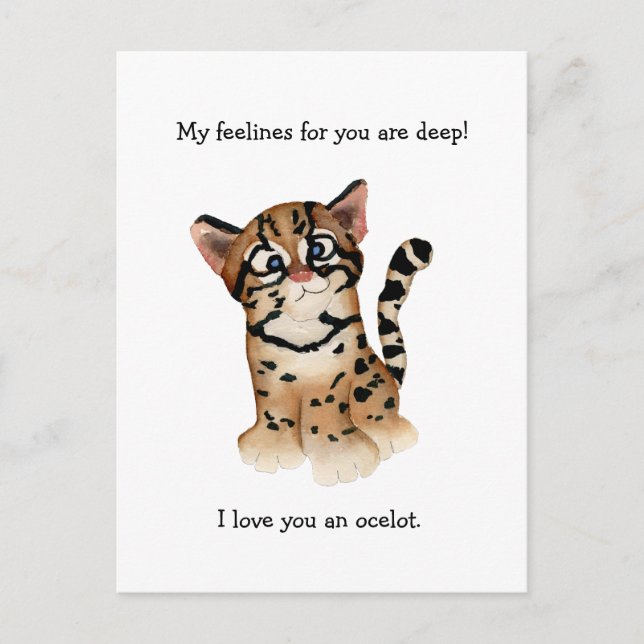 Postale Mes sentiments sont une carte de punaises de jagua (Devant)