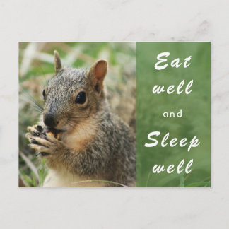 Postale mignon écureuil bien manger et dormir bien carte p