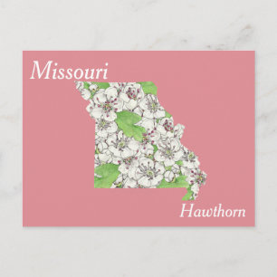 Postale Missouri State Flower - Carte de collage