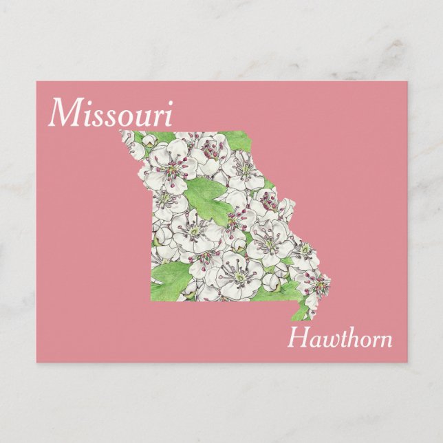 Postale Missouri State Flower - Carte de collage (Devant)