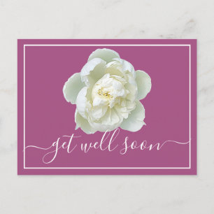 Postale Moderne Carte Florale Botanique de Pivoine Blanche