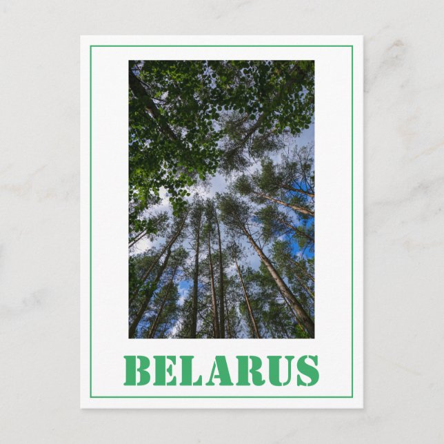 Postale Nature Paysage Chercher Forêt Biélorussie Carte po (Devant)