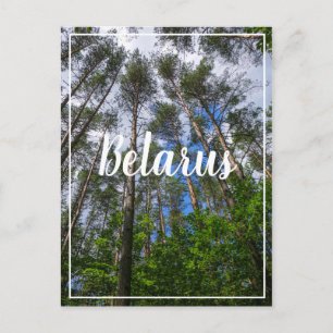 Postale Nature Paysage Chercher Forêt Biélorussie Carte po