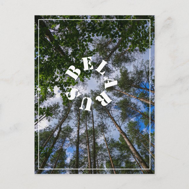 Postale Nature Paysage Chercher Forêt Biélorussie Carte po (Devant)