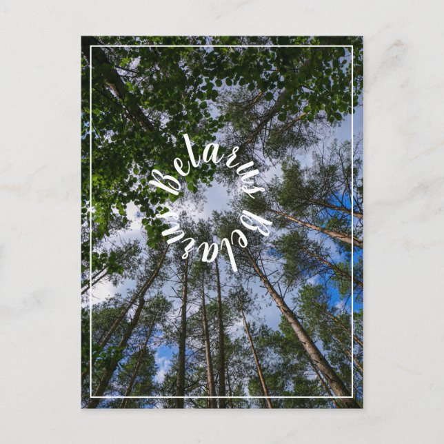 Postale Nature Paysage Chercher Forêt Biélorussie Carte po (Devant)