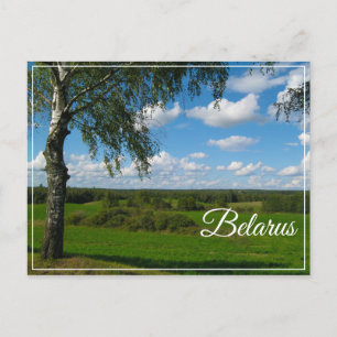 Postale Nature Paysage paysage Birch Biélorussie Carte pos