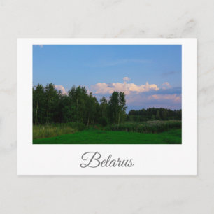 Postale Nature Paysage Paysage Plage Biélorussie Carte pos