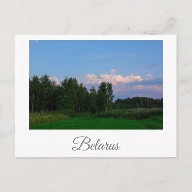 Postale Nature Paysage Paysage Plage Biélorussie Carte pos (Devant)