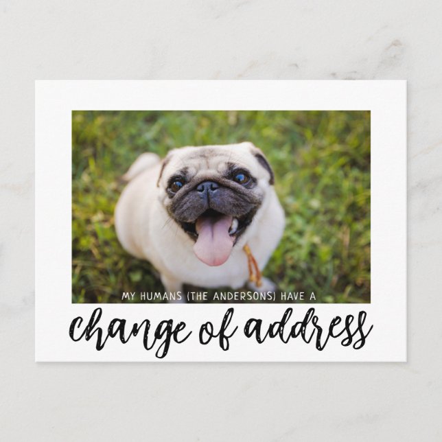 Postale Nous avons déménagé Changement d'adresse Carte pos (Devant)