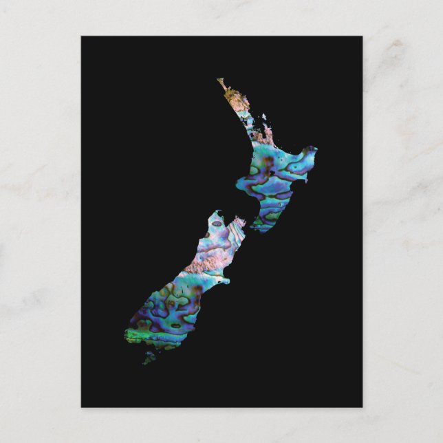 POSTALE NOUVELLE ZÉLANDE CARTE SIMPLE PAUA (Devant)