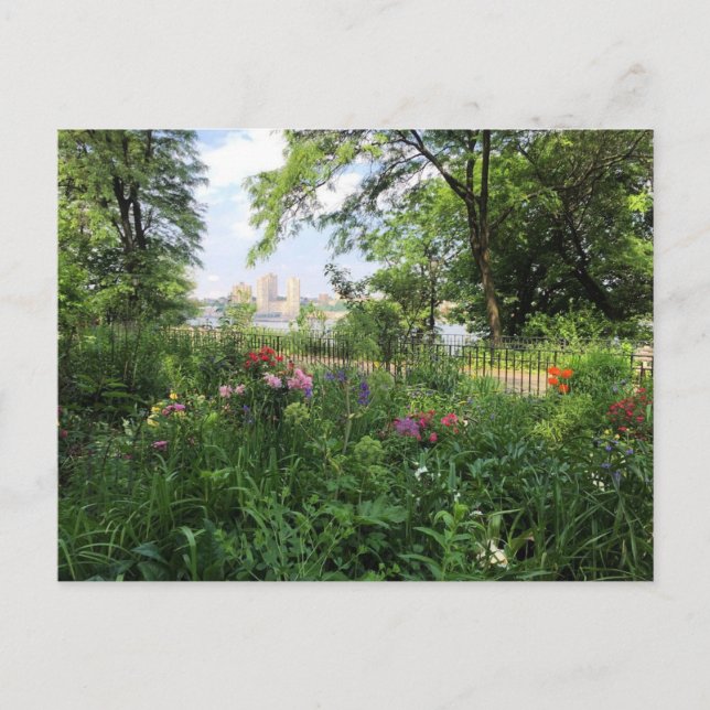 Postale NYC Riverside Park Hudson River New York Carte pos (Devant)
