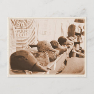 Postale Obtenez vos canards dans une rangée - Carte postal