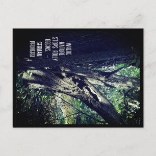 Postale Old Tree in the Woods & German Proverb Carte posta