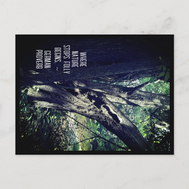 Postale Old Tree in the Woods & German Proverb Carte posta (Devant)