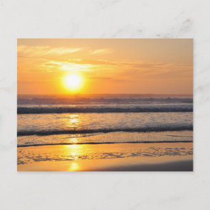 Postale Orange Beach Sunrise Wilbur By Sea FL Carte Postal