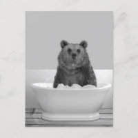 Ours dans la baignoire bain moussant  Carte postal