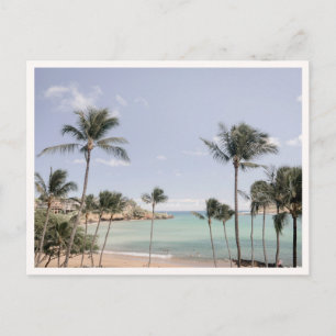 Postale Palmier de Lihue Kauai Hawaii Photo Carte de vœux