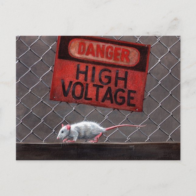 Postale Panneau haute tension Rat sur clôture Carte postal (Devant)