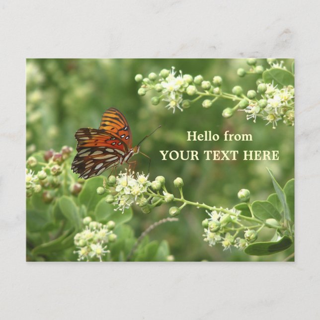 Postale Papillon orange Customisé "Bonjour de" Carte posta (Devant)