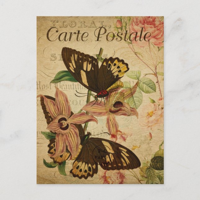 Postale Papillons Vintages modernes collage art Carte post (Devant)