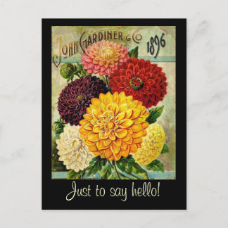 Postale Paquet vintage de graines de fleurs - Carte postal