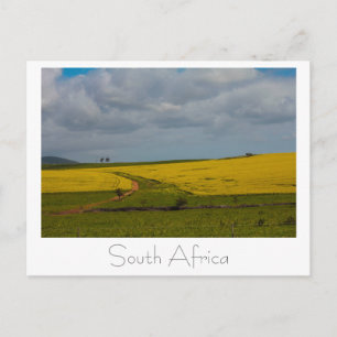 Postale Paysage d'Afrique du Sud Scène de la nature Carte