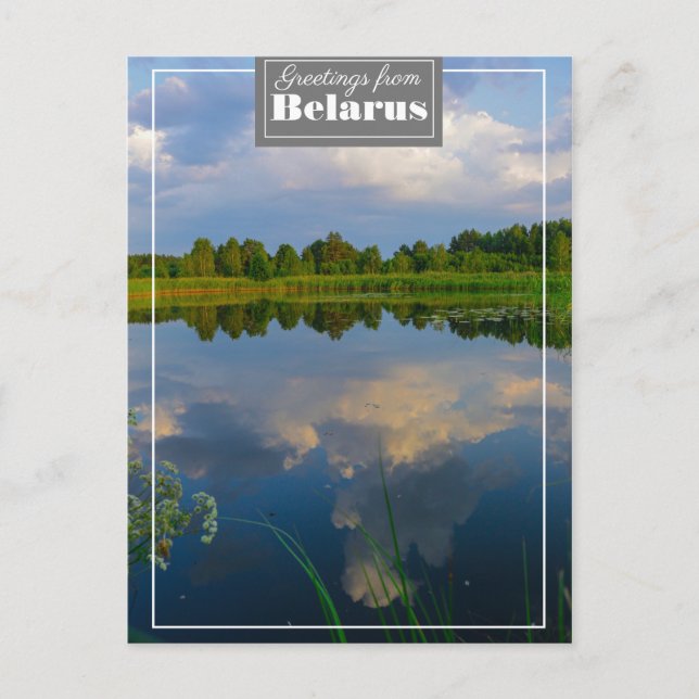 Postale Paysage de la nature Scène Lac Biélorussie Carte p (Devant)
