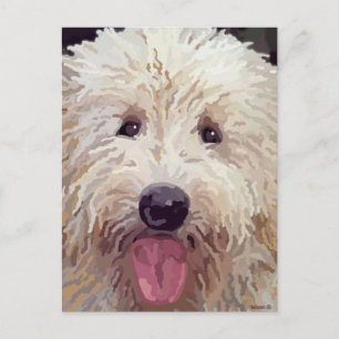 Postale Peinture de caniche labradoodle ou doré sur carte