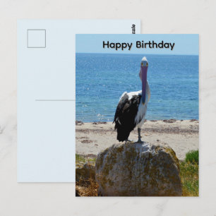Postale Pélican Avec Le Regard, Carte De Vœux D'anniversai