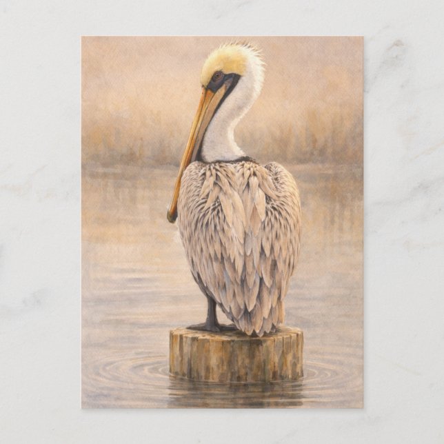 Postale Pélican de port | Art de la faune côtière | Carte  (Devant)
